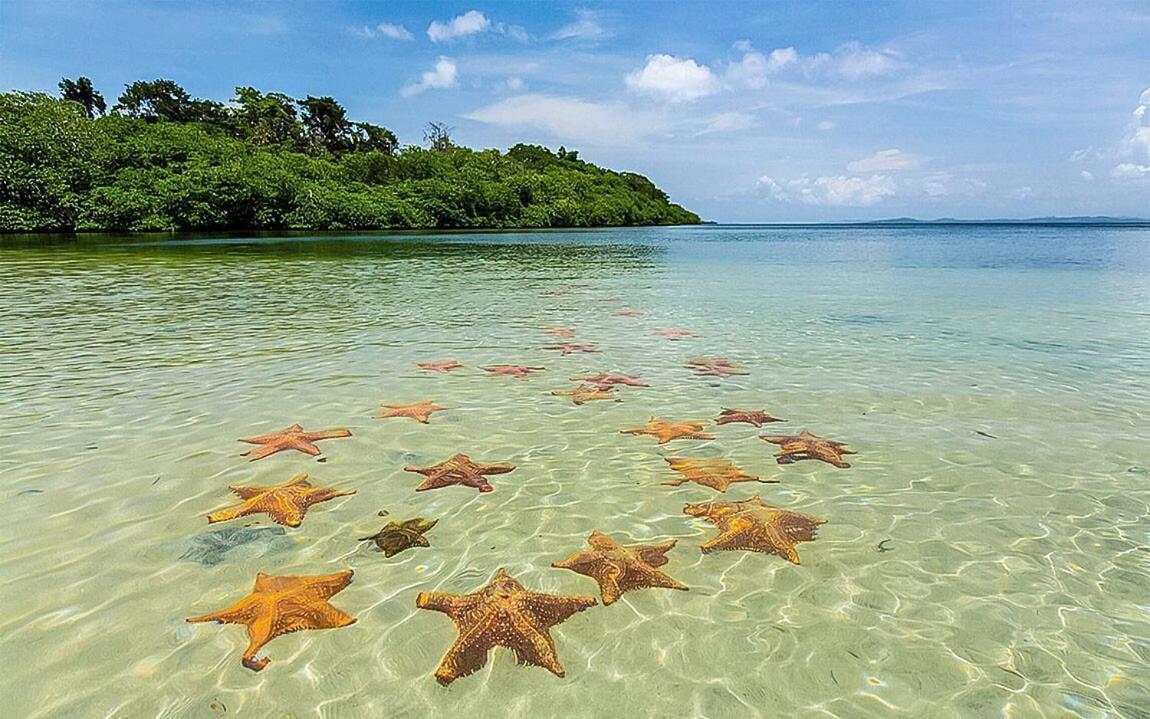 Casa Elba Sobre El Mar Villa Bocas del Toro Eksteriør billede